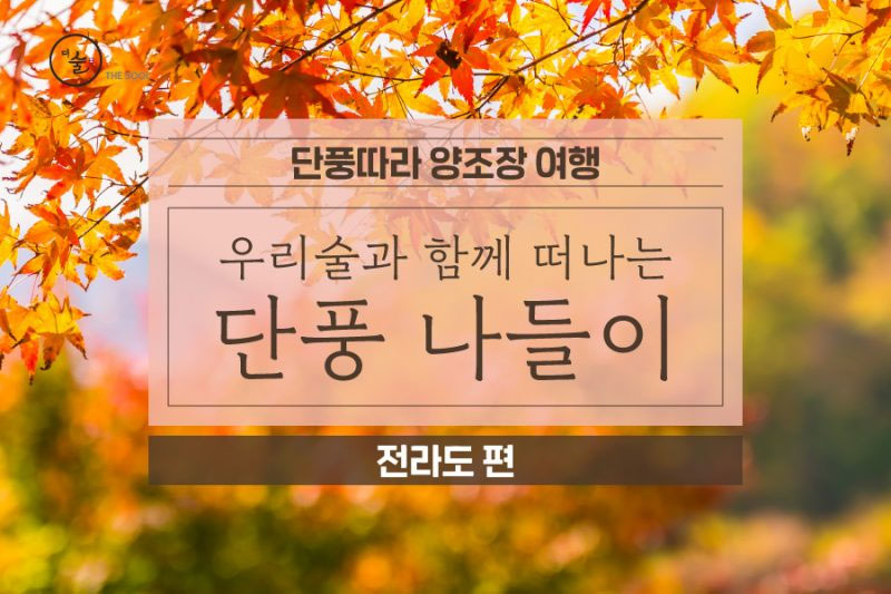 단풍놀이와 함께 가는 양조장 – 전라도편