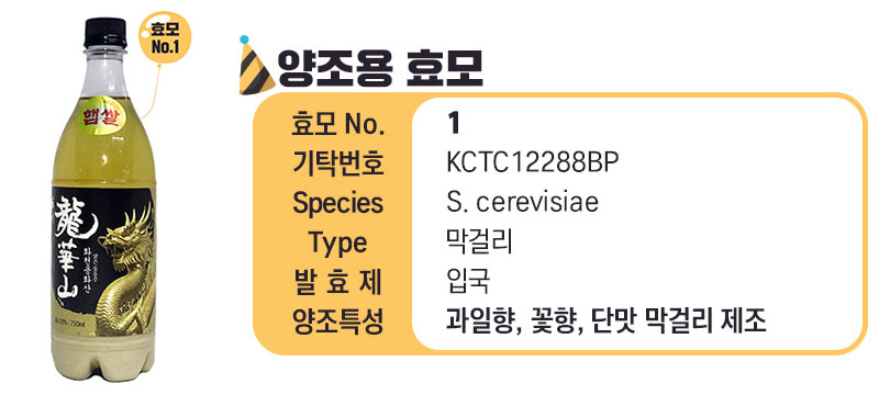 화천용화산 맑은 동동주 전통주 발효제를 적용한 우리술