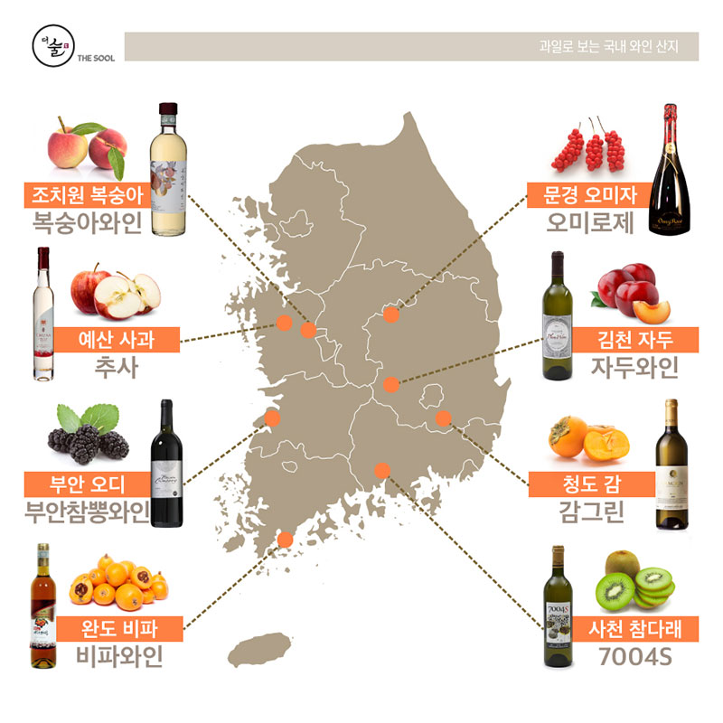 과일로 보는 국내 와인 산지 지도