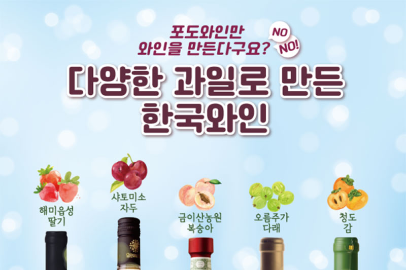 다양한 과일로 만든 한국 와인