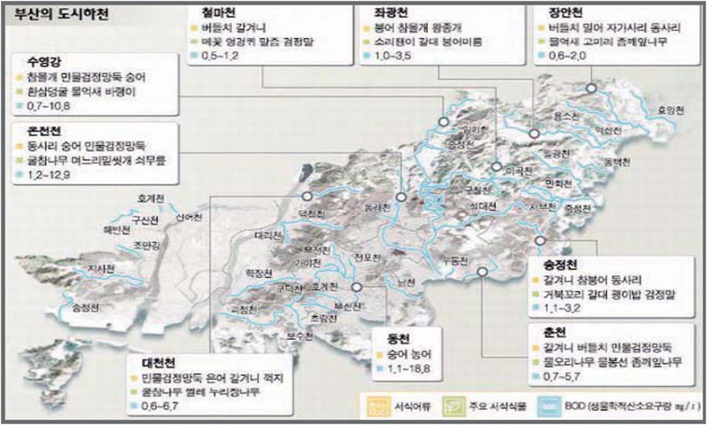 부산의 하천(환경생태지도)