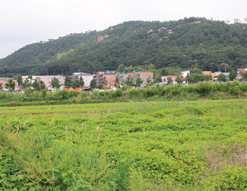 언양읍성 미나리꽝에서 바라본 화장산