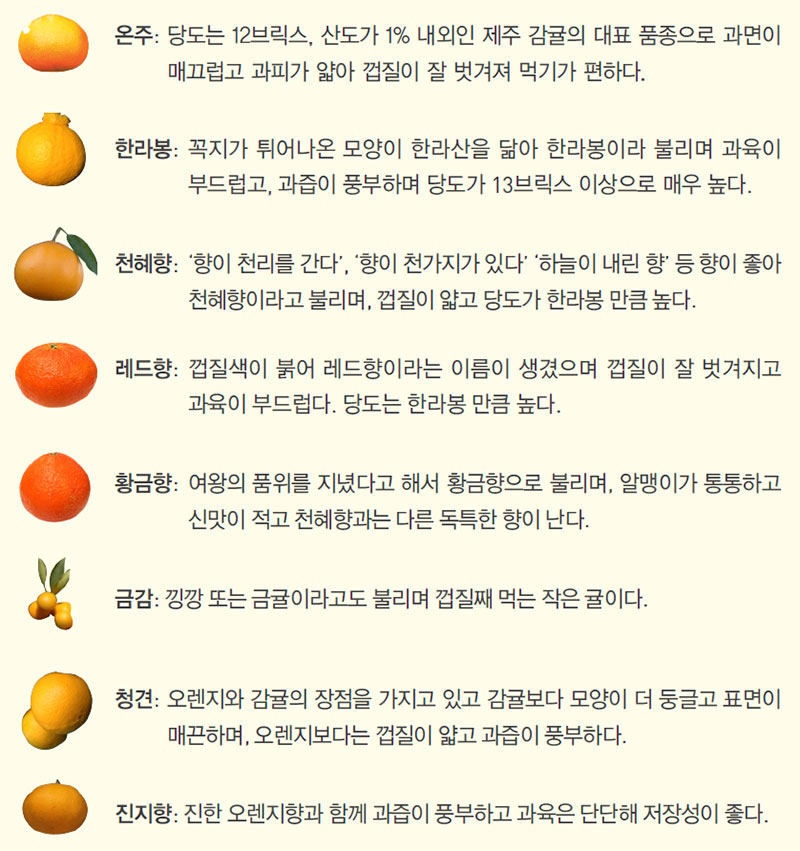 생산 유통되는 주요 감귤 품종