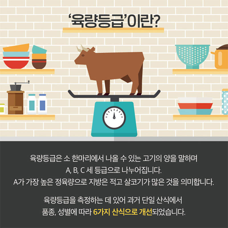 개정된 쇠고기 등급기준 사진 5번