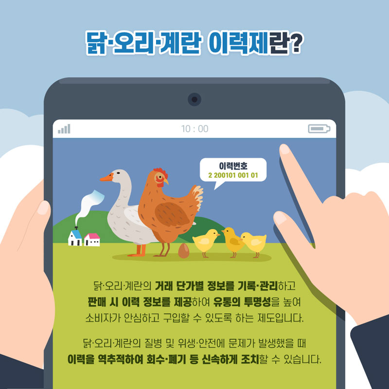 닭·오리·계란 이력제 사진 2번