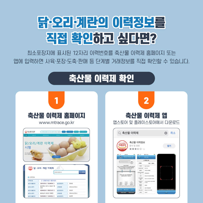 닭·오리·계란 이력제 사진 5번