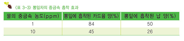 뽕잎의 중금속 제거 효과