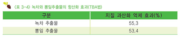 뽕잎과 녹차 항산화 효과