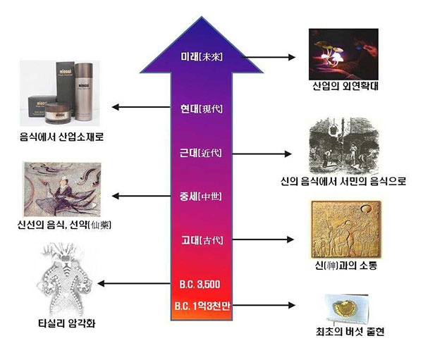 버섯 연대기