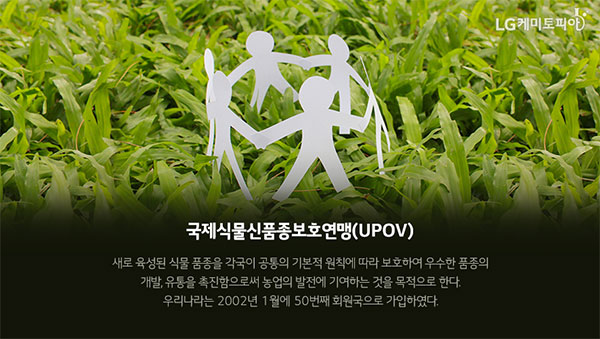 국제 식물 신품종 보호연맹(UPOV)