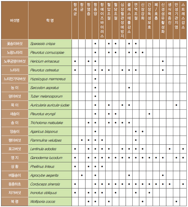 버섯 기능성