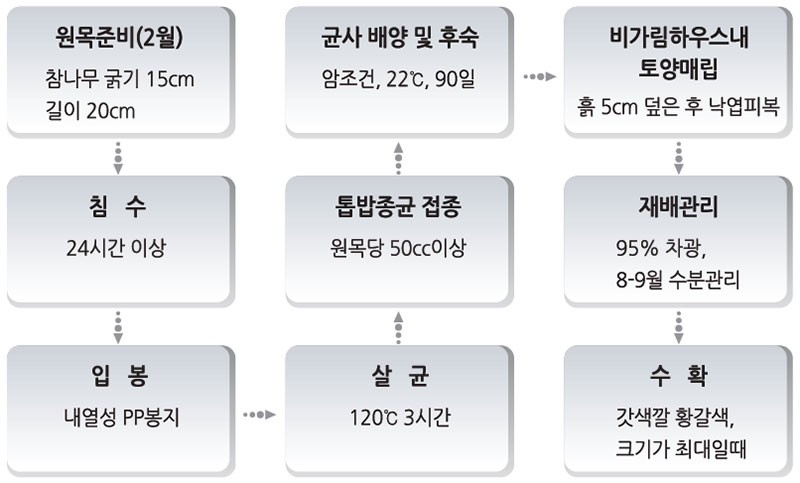 잎새버섯 1. 원목재배 과정