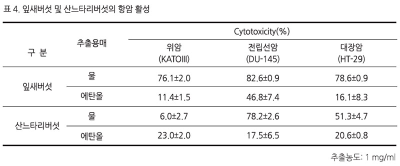 잎새버섯 및 산느타리버섯의 항암 활성