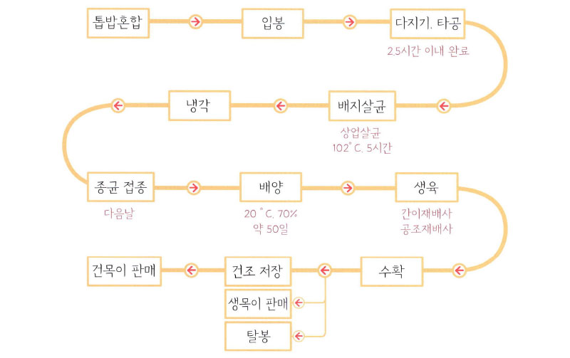 목이버섯 생육주기