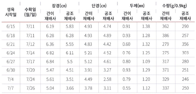 털목이버섯 생육 및 수량 연구결과