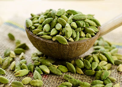 카다멈(cardamom)