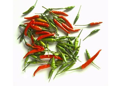 타이고추(thai chilli)