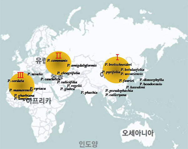 배 종의 지리적 분포