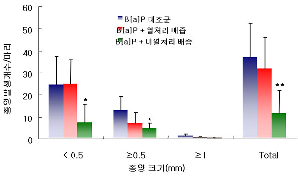 생 배즙에 의한 PAHs 유래 폐암 억제효과