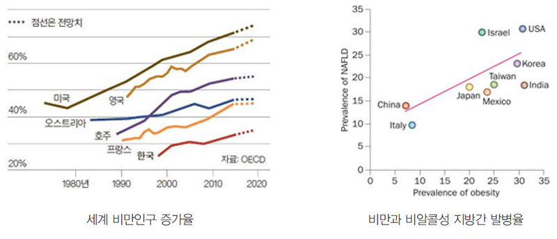 현대인의 대사증후군 발생률 증가