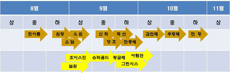 주요 배 품종의 숙기 분포