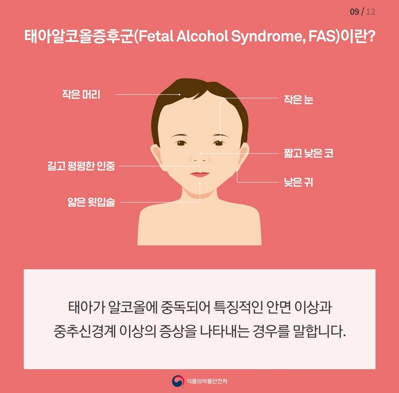 임신부의 음주 절대 안돼요 사진 10번