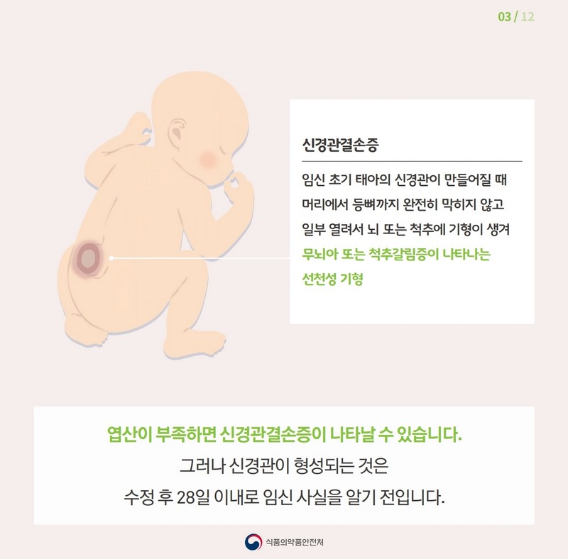 임신부에게 꼭 필요한 엽산! 어떻게 먹어야 할까? 사진 4번