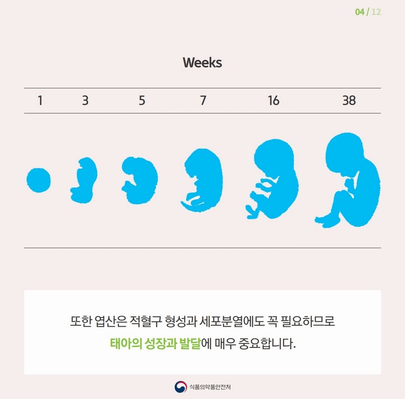 임신부에게 꼭 필요한 엽산! 어떻게 먹어야 할까? 사진 5번