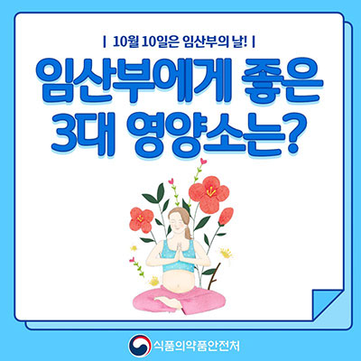 임산부에게 좋은 3대 영양소는?