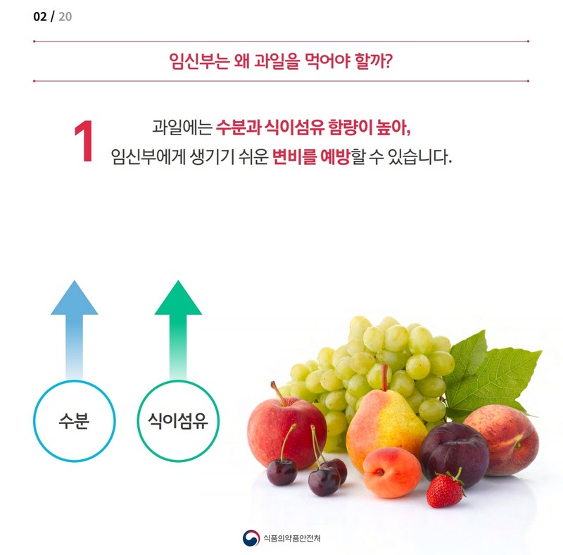 임신부를 위한 과일정보 사진 3번