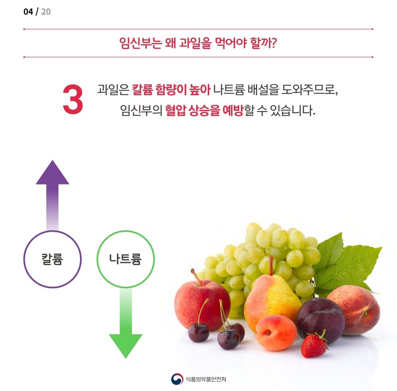 임신부를 위한 과일정보 사진 5번