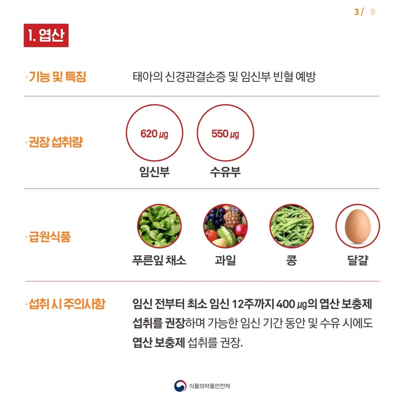 임신부를 위한 영영보충제 선택 요령 사진 3번