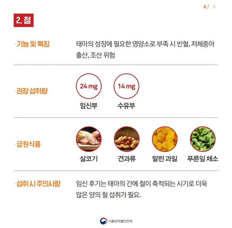 임신부를 위한 영영보충제 선택 요령 사진 4번