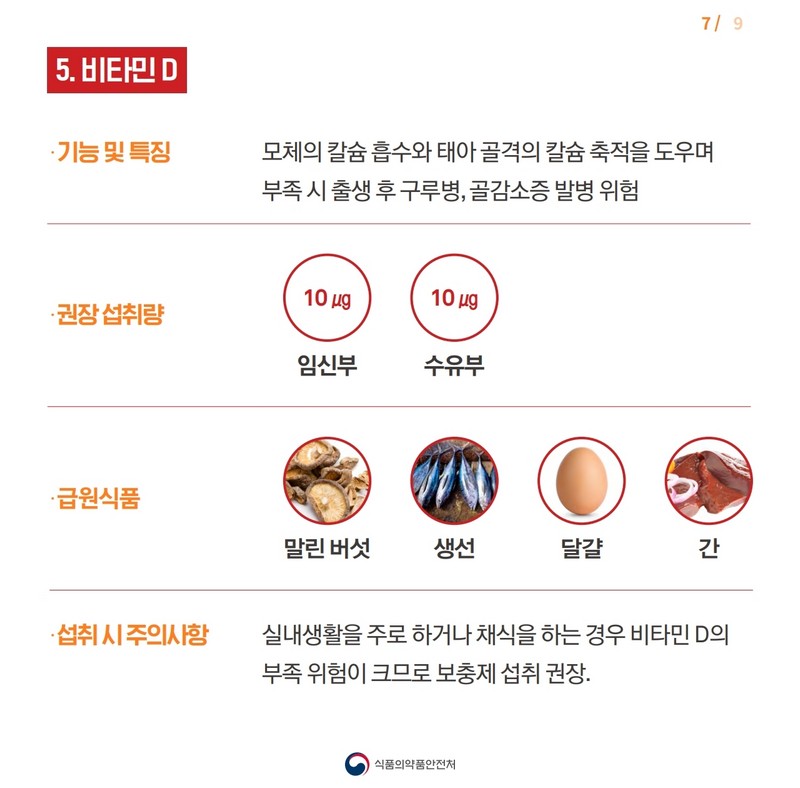 임신부를 위한 영영보충제 선택 요령 사진 7번