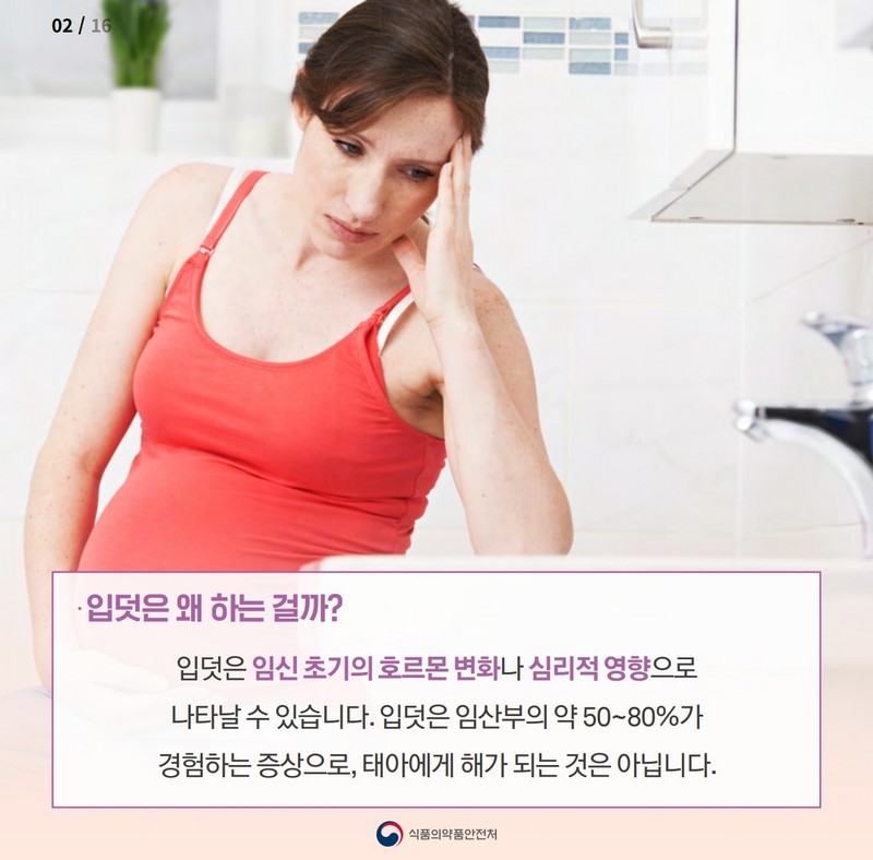 임신초기 증상 입덧, 이렇게 먹어보아요 사진 3번