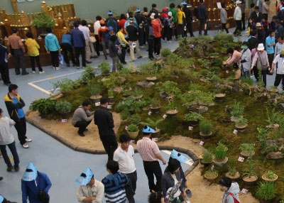 지리산산청한방약초축제(상)