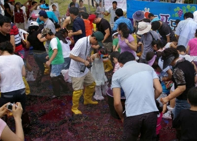 김포포도축제