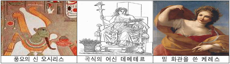 곡식의 역사