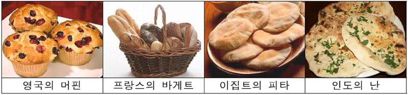 서양의 빵
