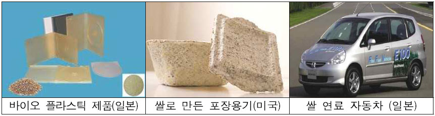 친환경 바이오 소재 쌀