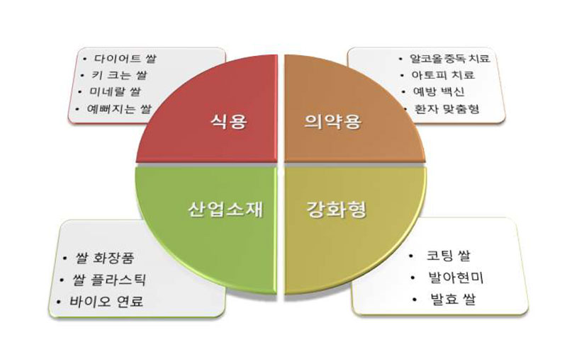 쌀의 새로운 시장 창출 분야