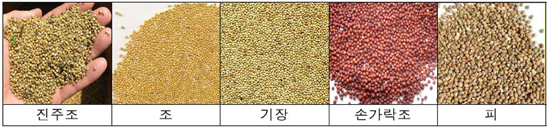 슈퍼푸드 조