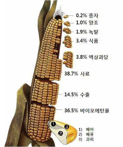 미국의 옥수수 소비형태