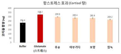 차 품종 간 스트레스에 대한 뇌보호 효과 No1.