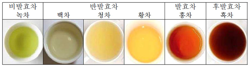 찻잎의 발효