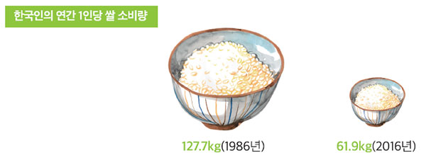 쌀의 1인당 연간 소비량