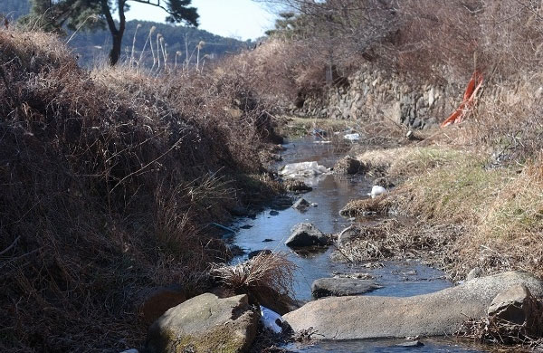 꺽저기 서식지(거제도 산양천)