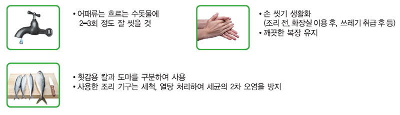 여름철 수산물 위생관리 개인 환경 위생관리 Check!