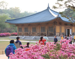 강원 양양 수산마을 인근 봄철 여행지 낙산도립공원