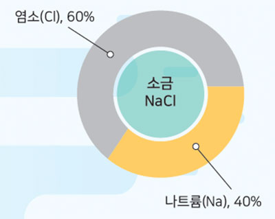 소금 나트륨 비율